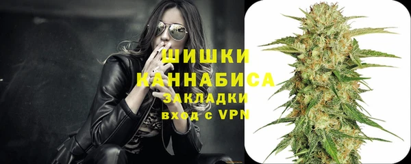 мдпв Козловка