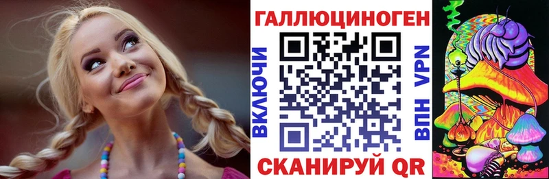 Псилоцибиновые грибы Psilocybe Котовск